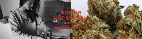 трава Ельня