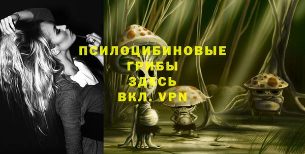 экстази Абаза