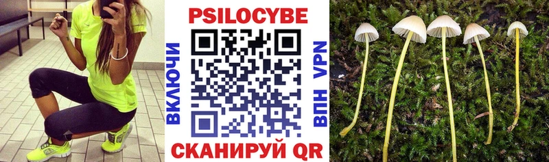 Псилоцибиновые грибы прущие грибы  маркетплейс Telegram  Осташков  купить закладку 