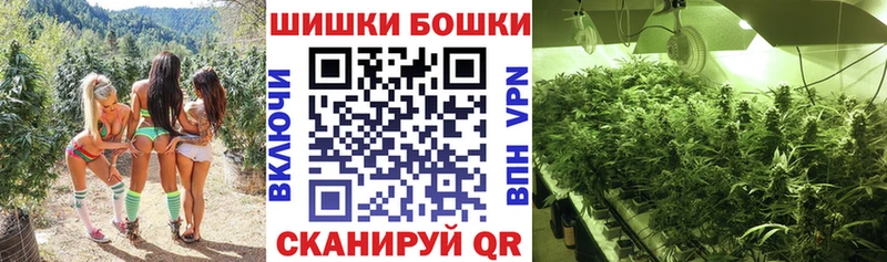 Бошки марихуана сатива Осташков